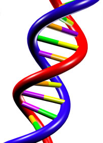 http://www.keycompounding.com/wp-content/uploads/2014/07/DNA.jpg